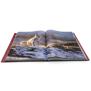 Libro de lujo de alta calidad barato de la cubierta dura del tablero de la impresión del libro impreso en China