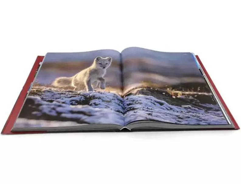 ¿Puedes imprimir una imagen de espejo de un PDF?